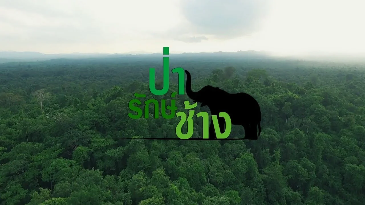 ป่ารักษ์ช้าง