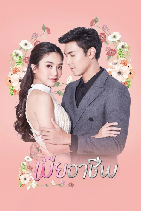 เมียอาชีพ