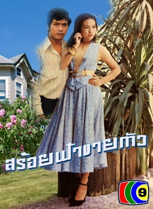สร้อยฟ้าขายตัว