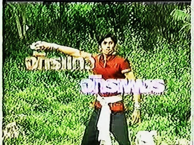 จักรแก้ว จักรเพชร