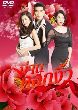 ม่านดอกงิ้ว