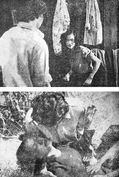 แม่เสือสาว