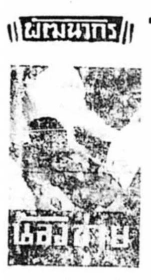 น้องชาย - โปสเตอร์ภาพยนตร์ไทย