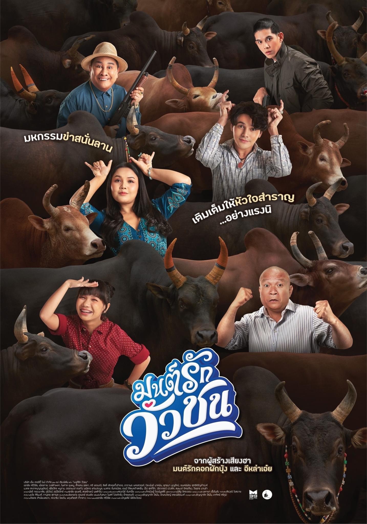 มนต์รักวัวชน